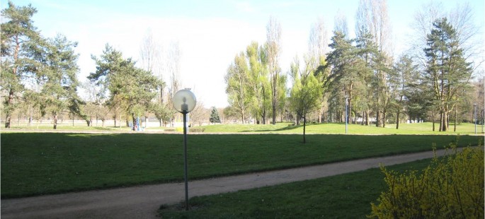 Image1