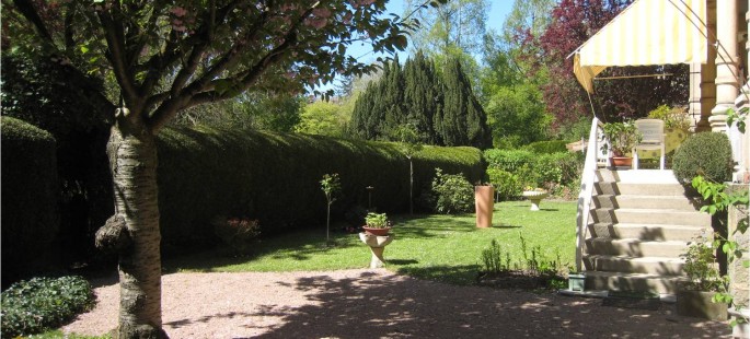Image1