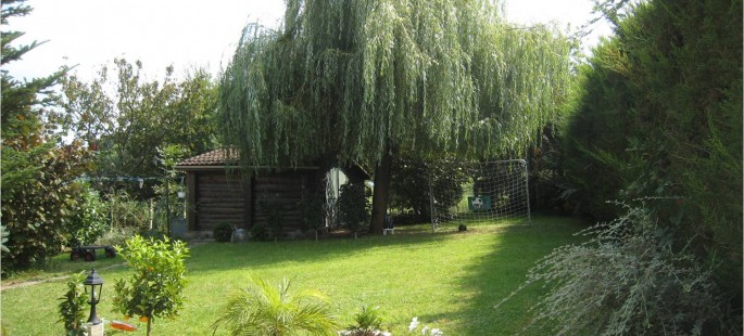 Image13
