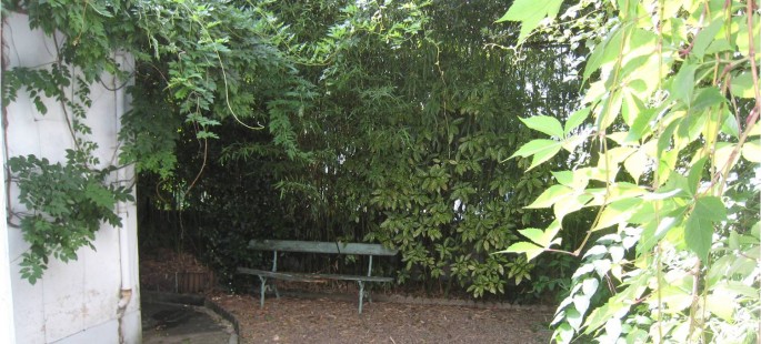 Image3