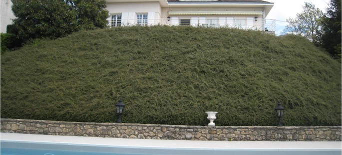 Image4