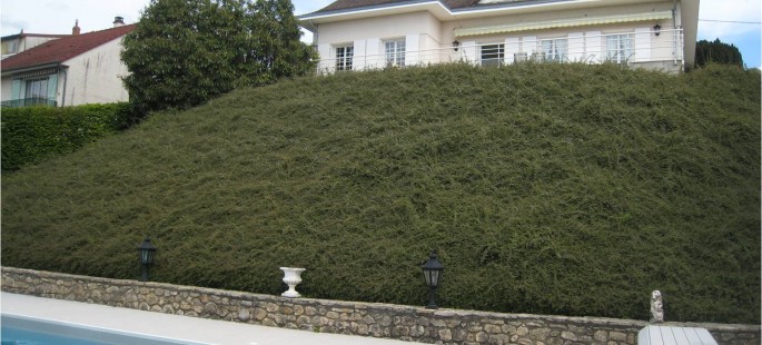 Image6