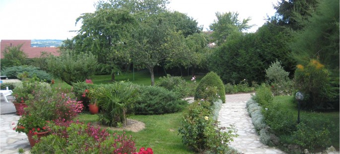 Image7
