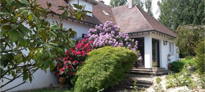 Image1