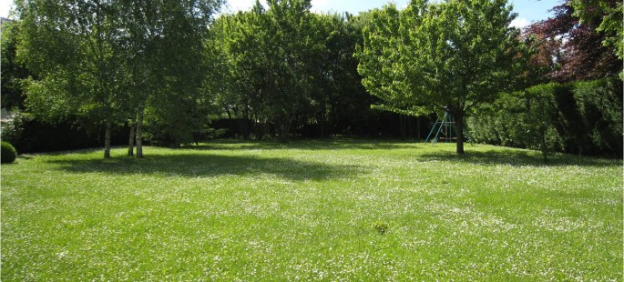 Image13
