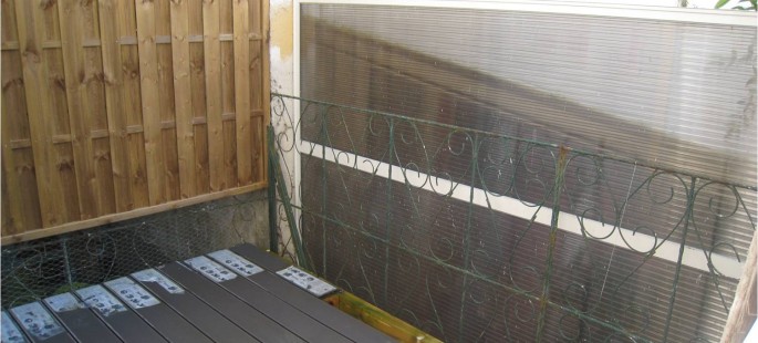 Image4