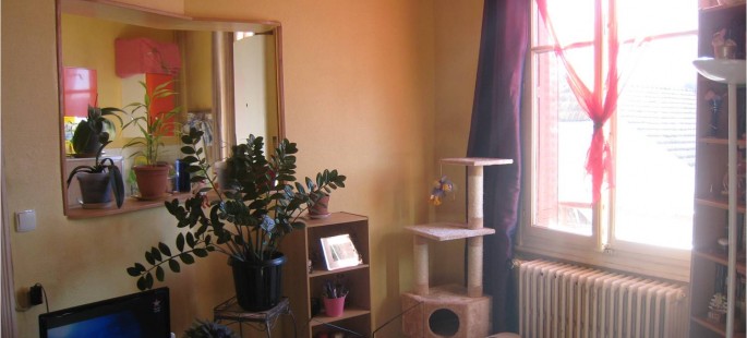 Image3