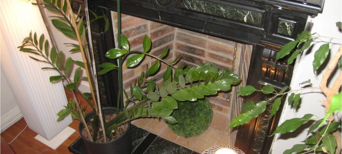 Image13