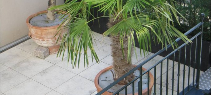Image3