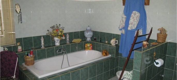 Image15