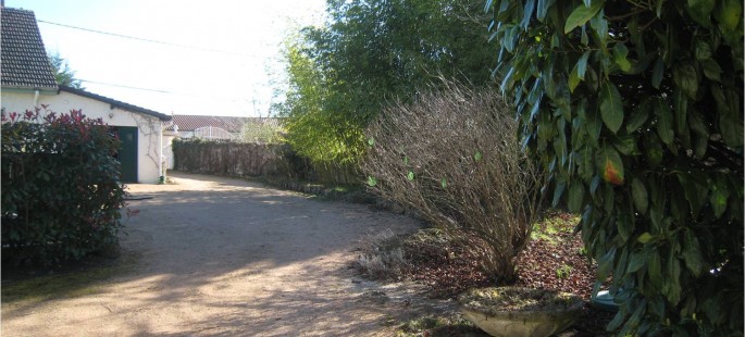 Image4
