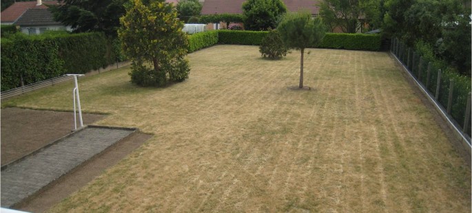 Image17