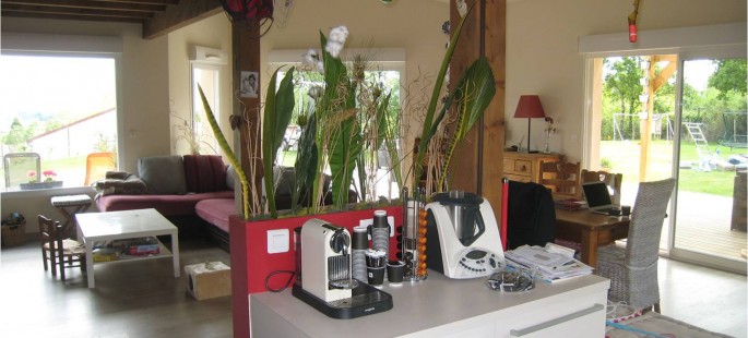 Image11