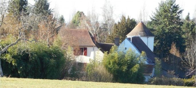 Image13