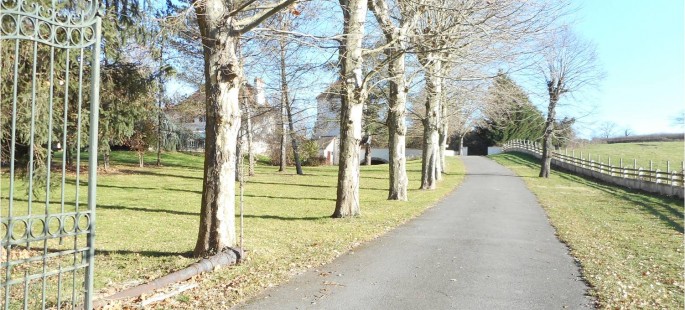 Image15