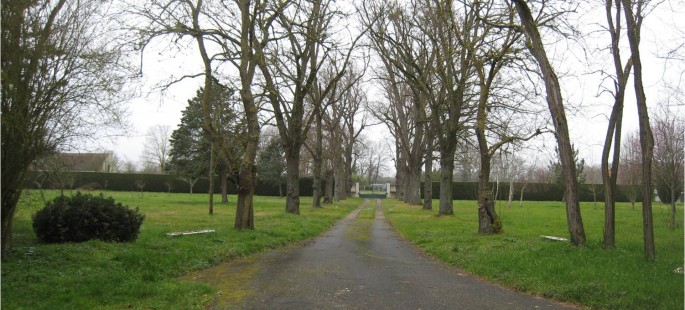 Image15