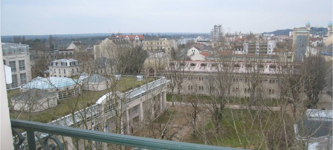 Image7