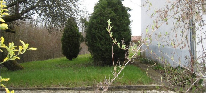 Image3