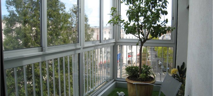 Image6