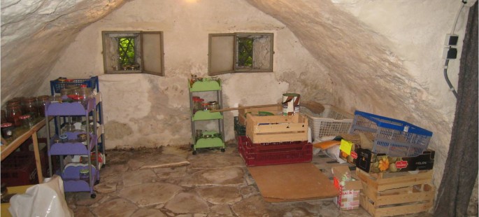 Image1