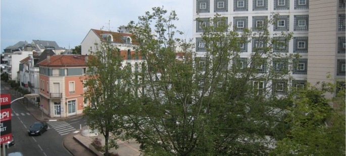 Image4