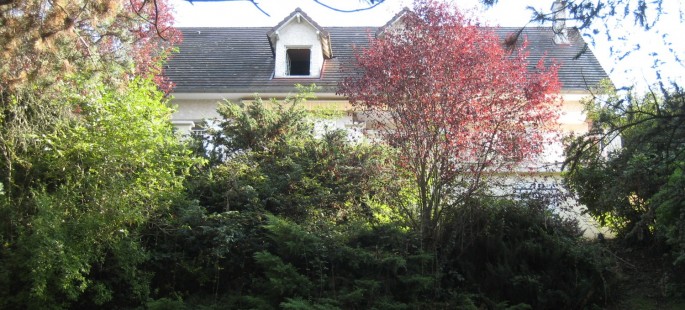 image16