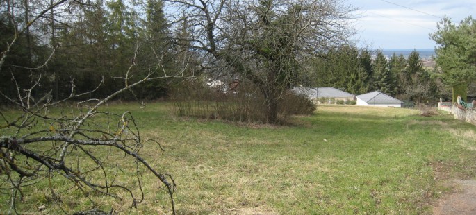 Image1