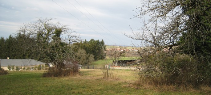 Image3