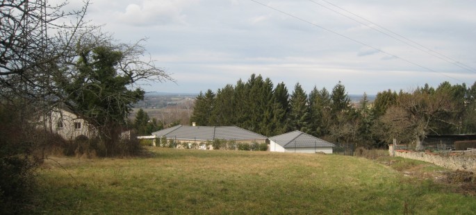 Image4