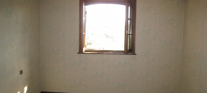 Image3