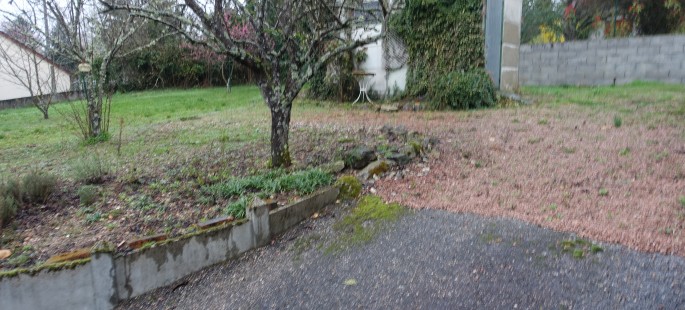 DSC01438