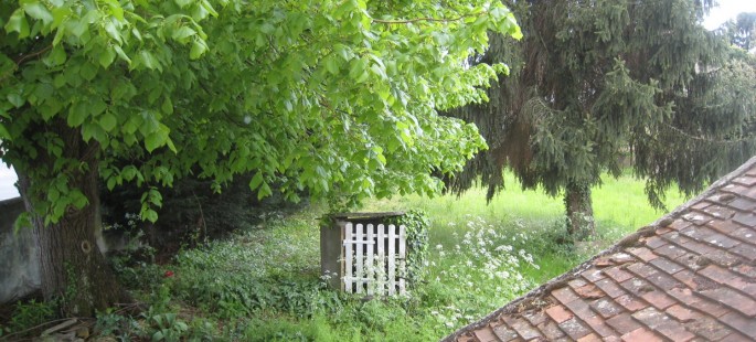 Image23