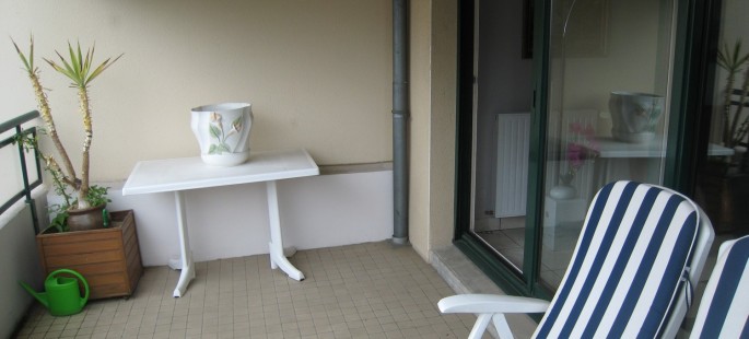 Image7