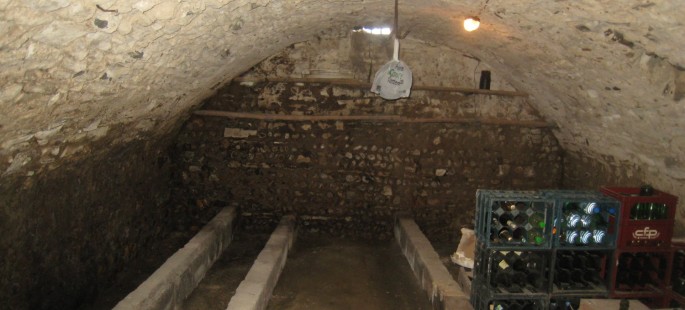 Image1