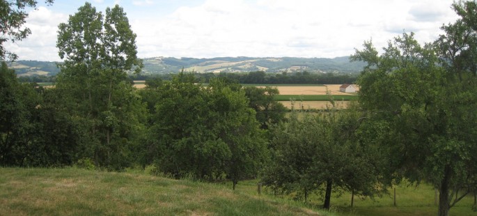 Image10