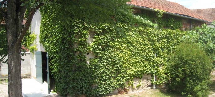 Image13