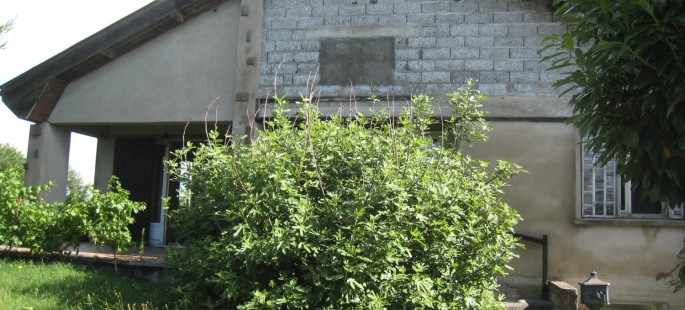 Image6