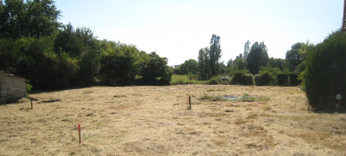 Image1