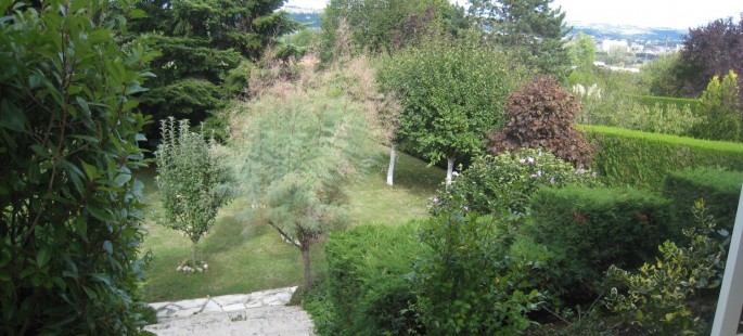 Image14