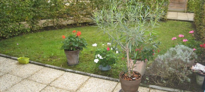 Image7