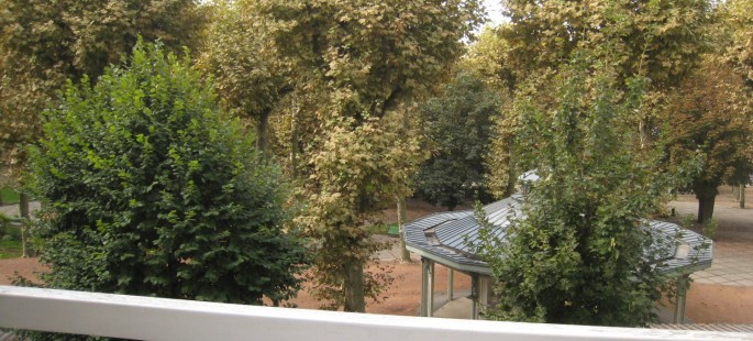 Image9