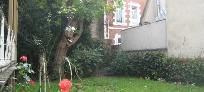 Image4