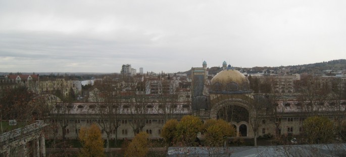 Image15