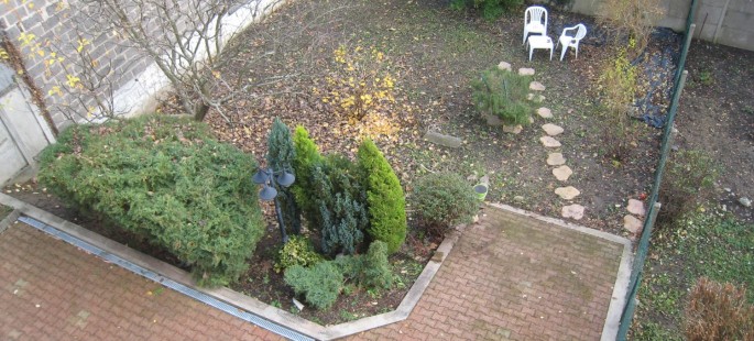 Image1