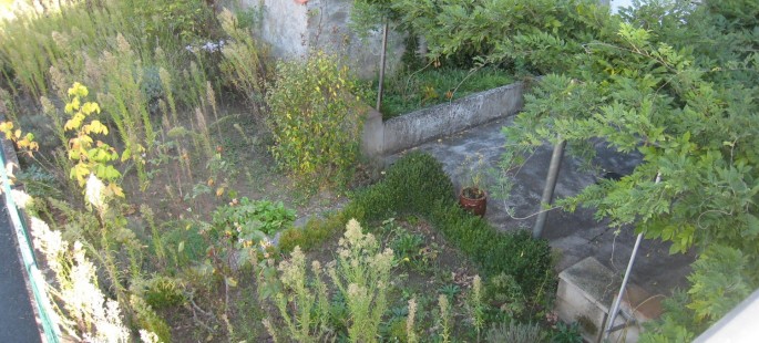 Image15