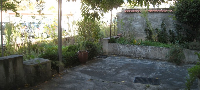 Image19