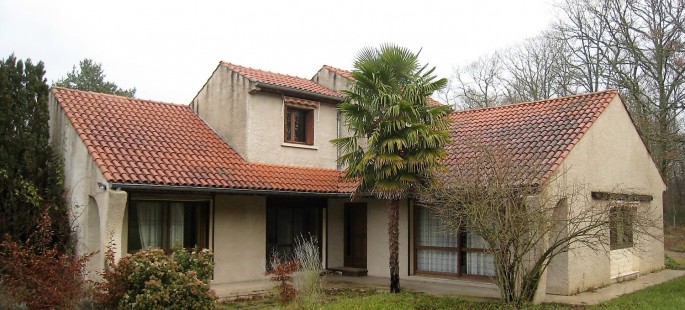 Image19