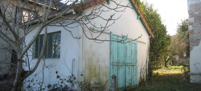 Image4