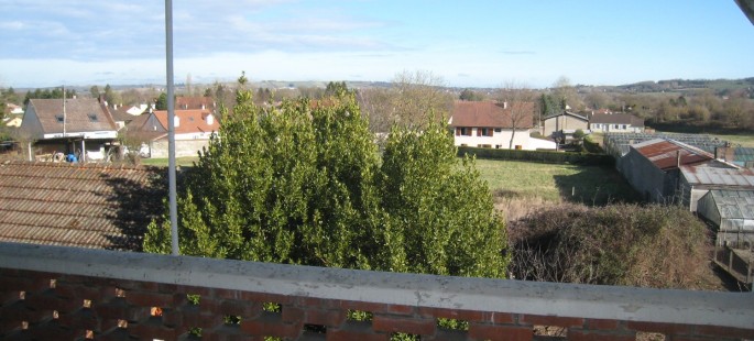 Image7