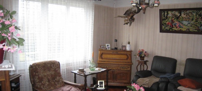 Image1